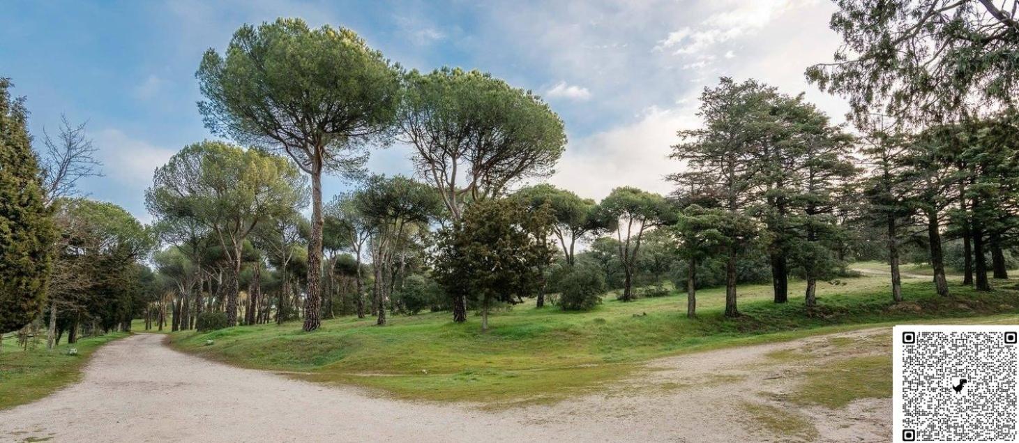 Apartamento Las Rozas Centro Con Parking Incluido Kültér fotó